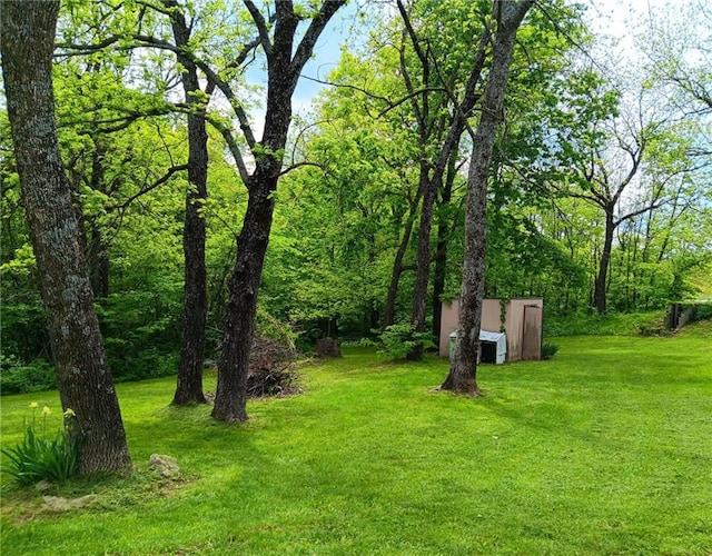 3672 Haynes Hill Rd, Bates City, MO 64011 - view of green lawn with an outdoor structure