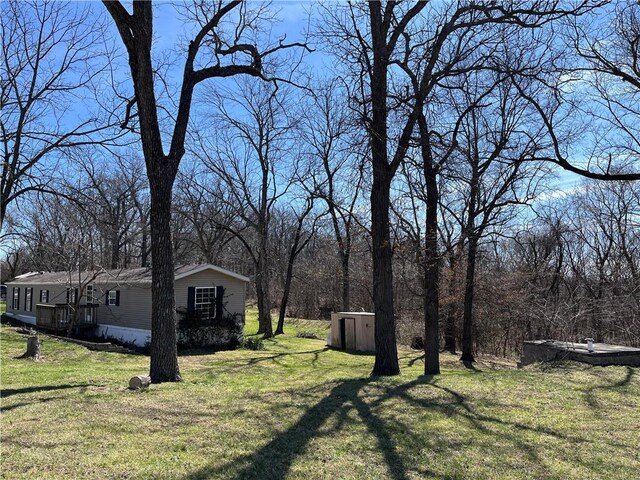 3672 Haynes Hill Rd, Bates City, MO 64011 - view of green lawn