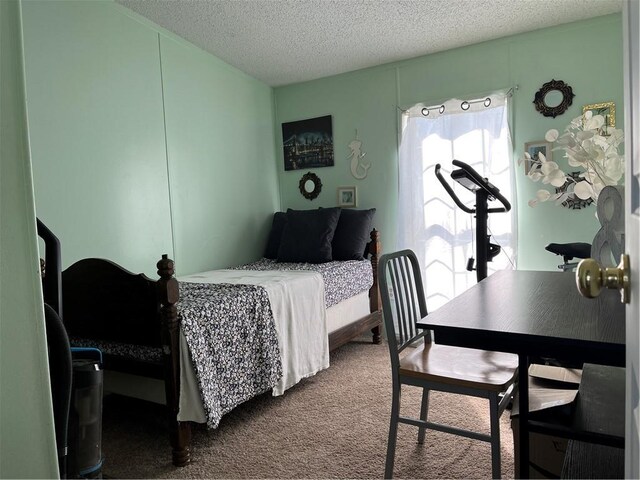3672 Haynes Hill Rd, Bates City, MO 64011 - bedroom featuring a textured ceiling and dark carpet