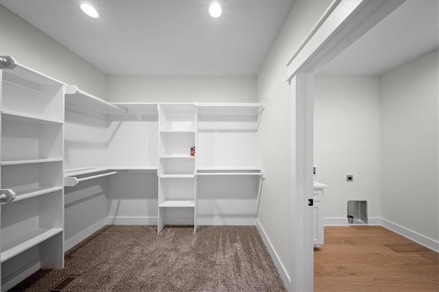 spacious closet with carpet