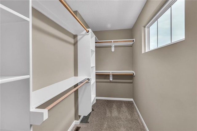 walk in closet with dark colored carpet