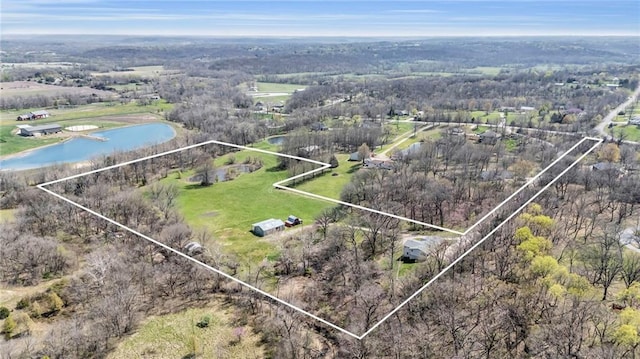 drone / aerial view