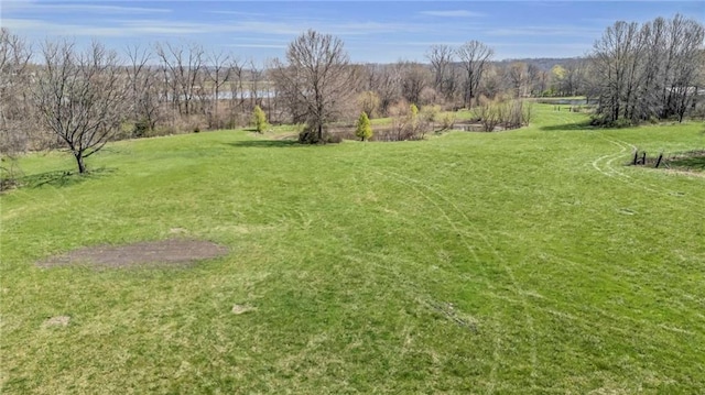 view of yard featuring a rural view