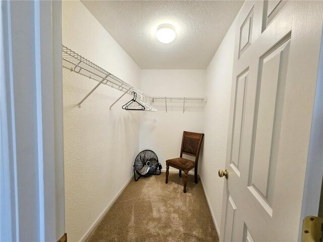 528 W End Cir, Osage Beach, MO 65065 - spacious closet with carpet floors