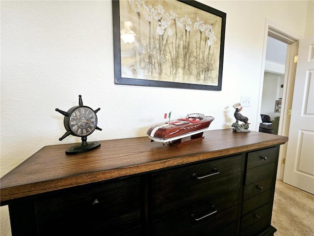 528 W End Cir, Osage Beach, MO 65065 - detailed view of carpet flooring