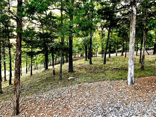 528 W End Cir, Osage Beach, MO 65065 - view of nature