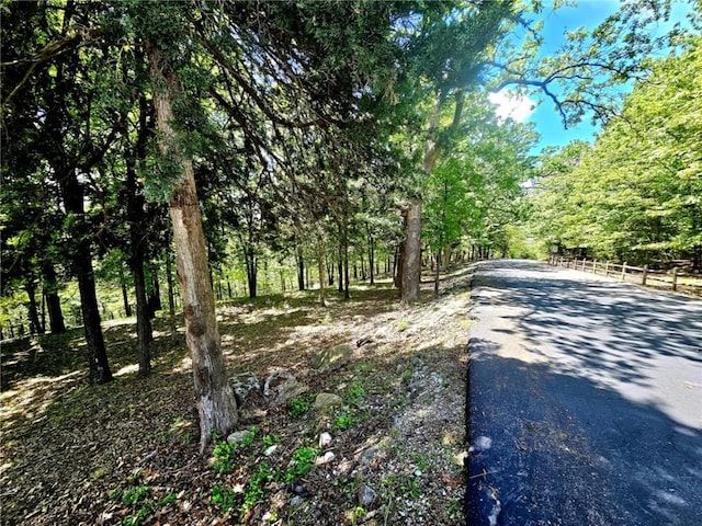 528 W End Cir, Osage Beach, MO 65065 - view of road