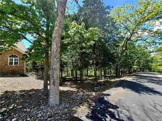 528 W End Cir, Osage Beach, MO 65065 - view of asphalt driveway