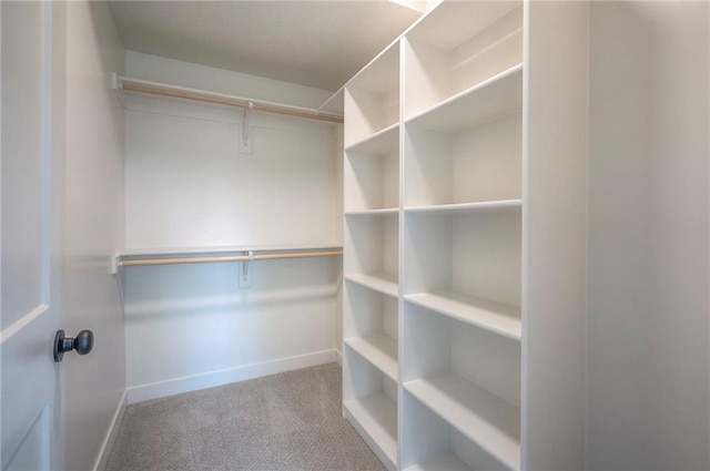 spacious closet featuring carpet