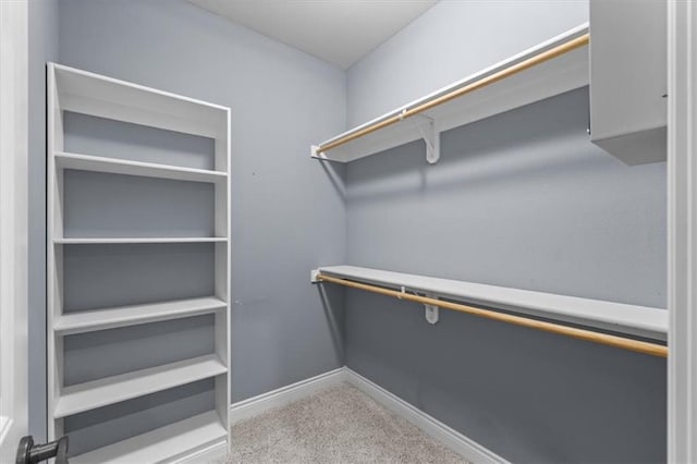 spacious closet featuring carpet flooring