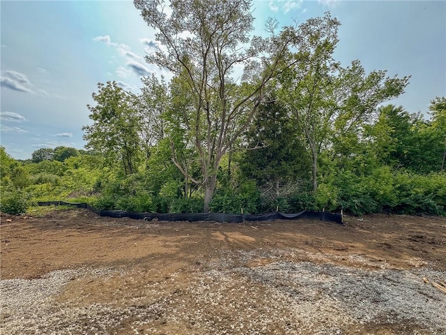 9950 Brockway St, Lenexa, KS 66220 - view of tree filled area