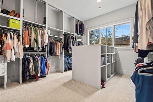 spacious closet with carpet