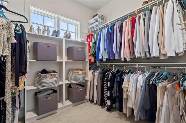view of spacious closet