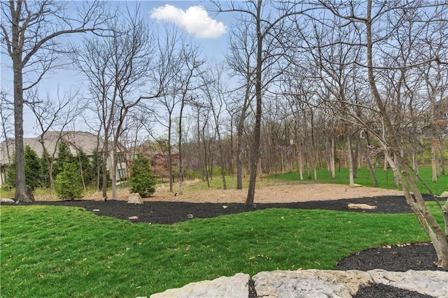 view of grassy yard
