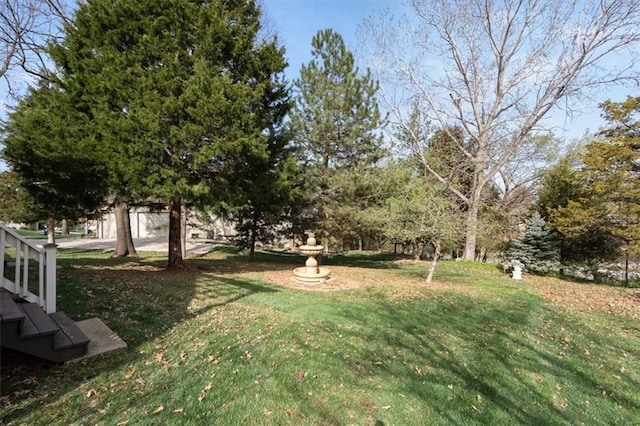 9708 Walnut Woods Dr, Kansas City, MO 64139 - view of yard