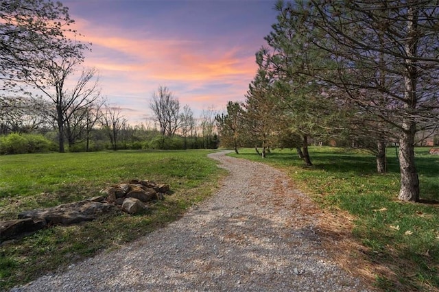 9708 Walnut Woods Dr, Kansas City, MO 64139 - view of road