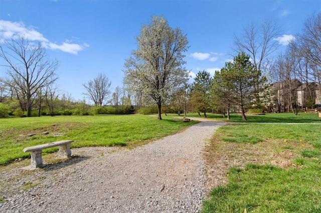 9708 Walnut Woods Dr, Kansas City, MO 64139 - view of home's community featuring a yard