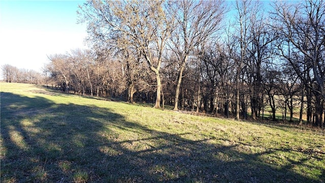 2101A Dove Rd, Longton, KS 67352 - view of yard