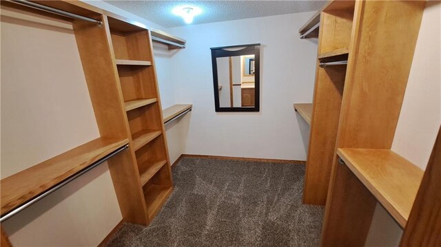 2101A Dove Rd, Longton, KS 67352 - walk in closet featuring carpet flooring
