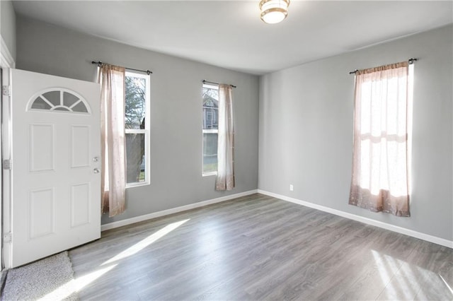 foyer entrance featuring baseboards, a wealth of natural light, and wood finished floors