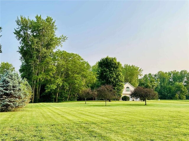 13210 SE 43rd Service Rd, Faucett, MO 64448 - view of green lawn
