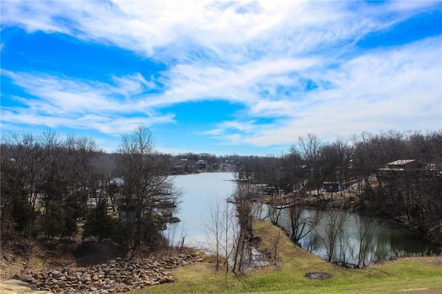property view of water