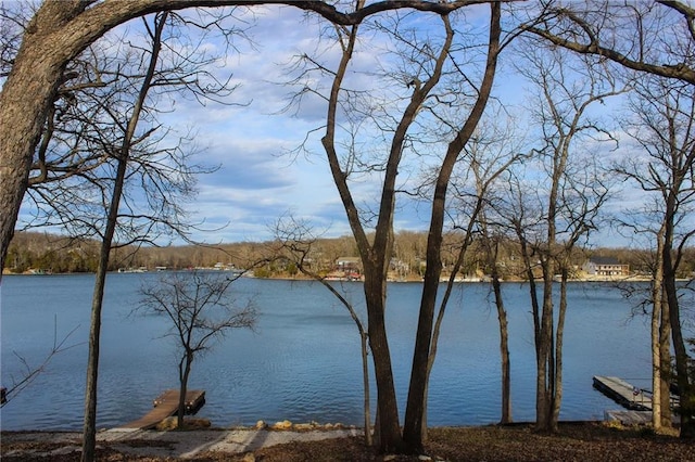 property view of water