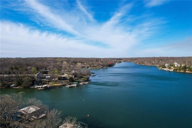 water view with a wooded view