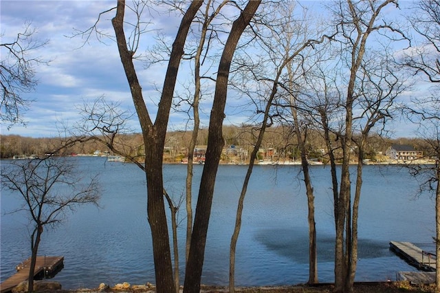 property view of water
