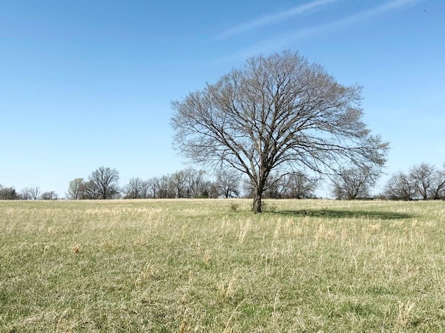 view of local wilderness with a rural view