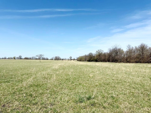 view of local wilderness featuring a rural view