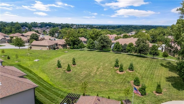 1600 NE Park Springs Ter, Lees Summit, MO 64064 - photo 52