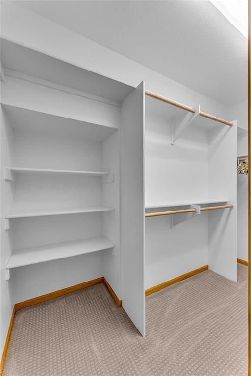 spacious closet featuring carpet flooring