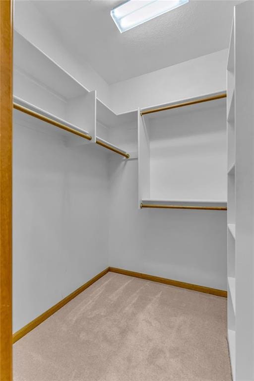 spacious closet featuring carpet floors