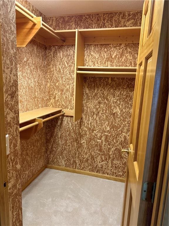 walk in closet with carpet