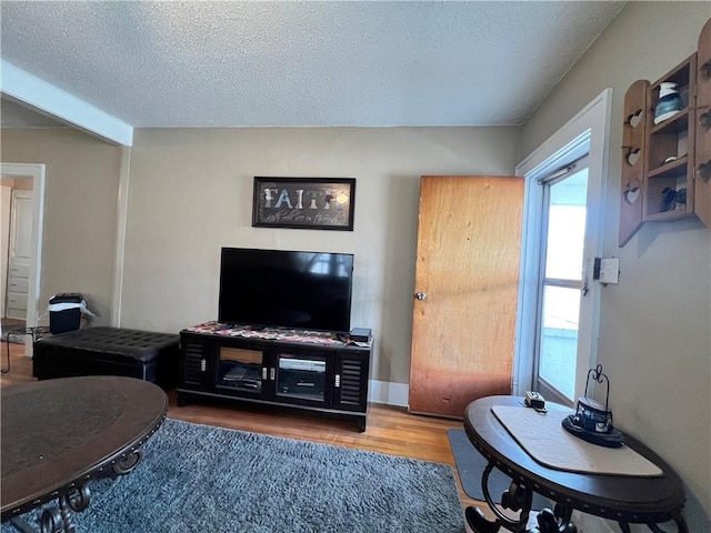 living room featuring a textured ceiling and wood finished floors