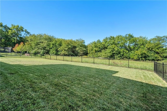 3208 SW Saddlebred Ter, Lees Summit, MO 64082 - view of yard