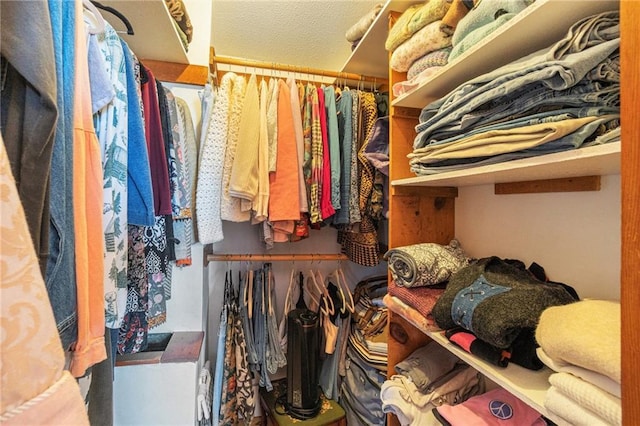 view of walk in closet