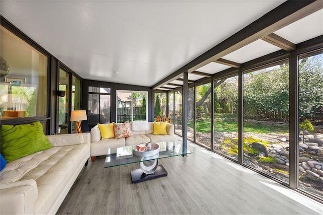 sunroom / solarium featuring a wall of windows, wood finished floors, and an outdoor living space