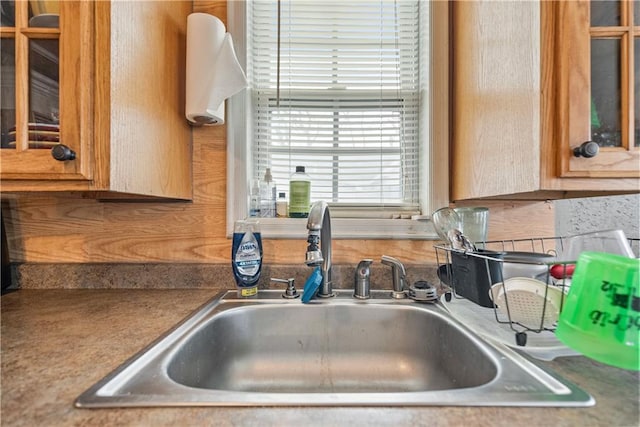 kitchen featuring glass insert cabinets and a sink