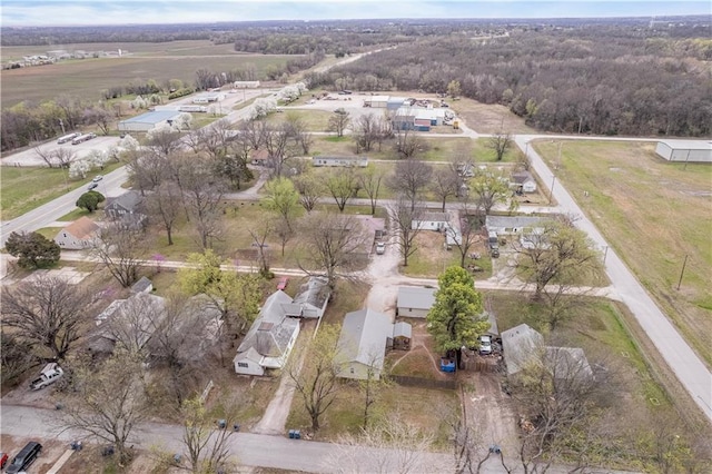 drone / aerial view