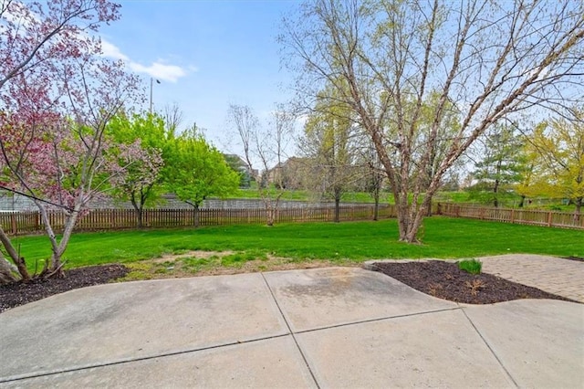 view of yard with a fenced backyard and a patio area