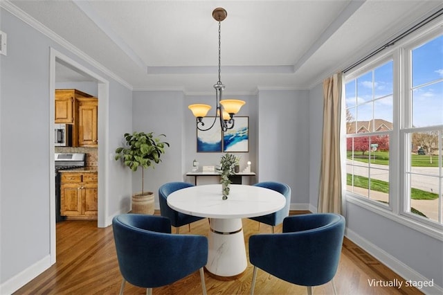 dining room with baseboards, a tray ceiling, wood finished floors, and a notable chandelier