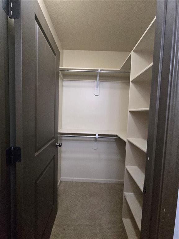 spacious closet featuring carpet flooring