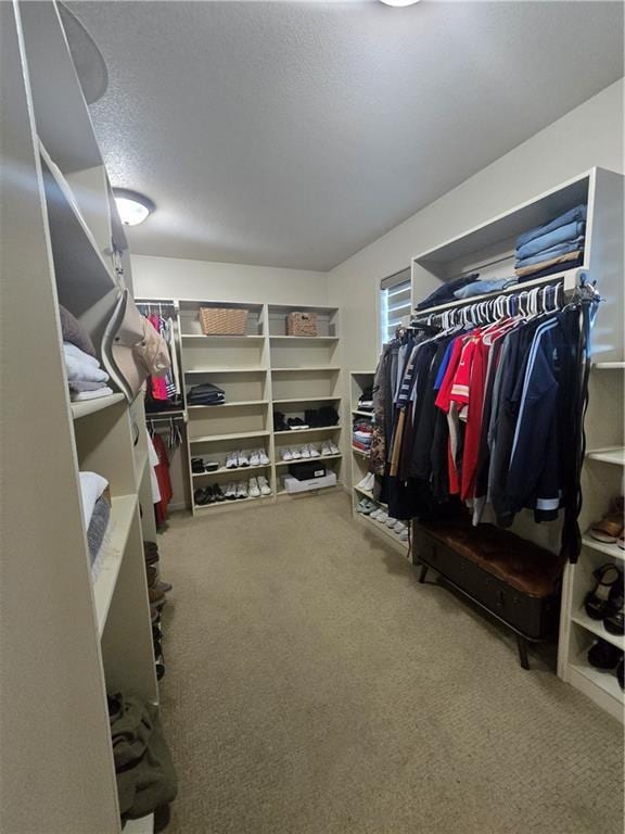 walk in closet featuring carpet flooring