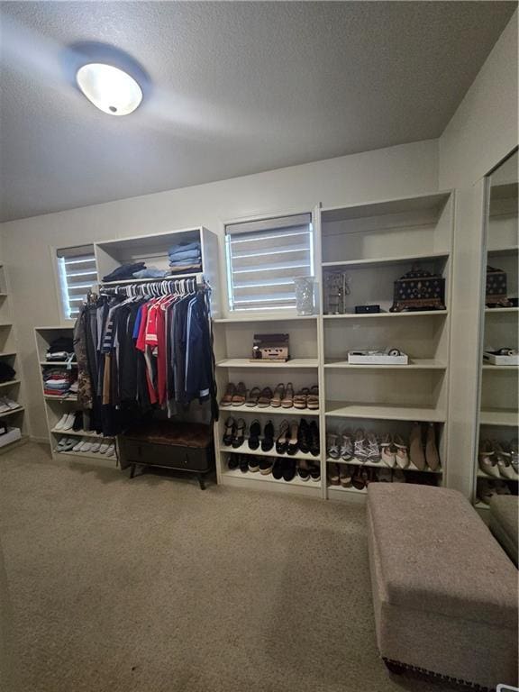 spacious closet featuring carpet flooring