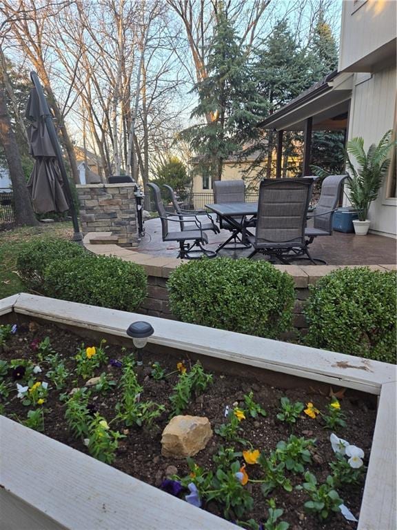 view of yard with a patio and fence