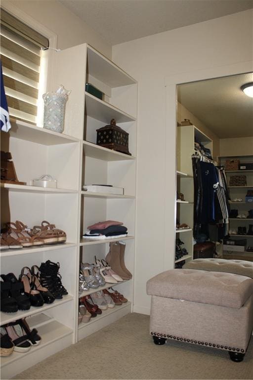 6822 Woodstock Ct, Shawnee, KS 66218 - walk in closet with carpet
