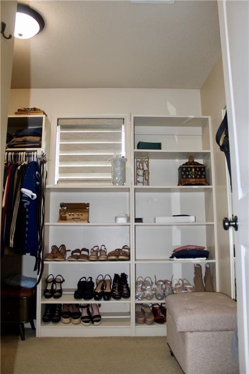 6822 Woodstock Ct, Shawnee, KS 66218 - walk in closet featuring carpet flooring
