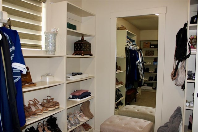 6822 Woodstock Ct, Shawnee, KS 66218 - view of spacious closet